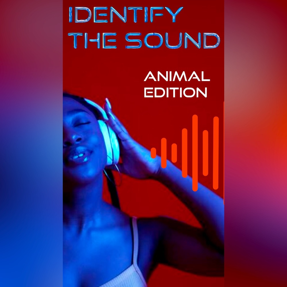 IDENTIFY THE SOUND